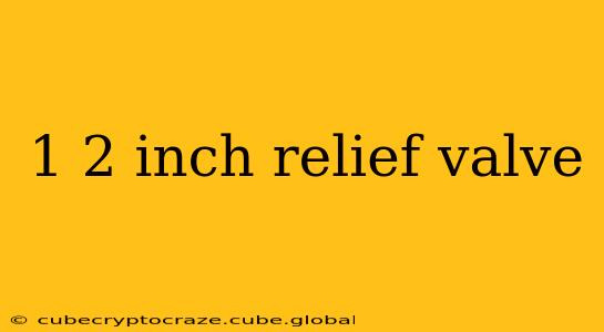 1 2 inch relief valve
