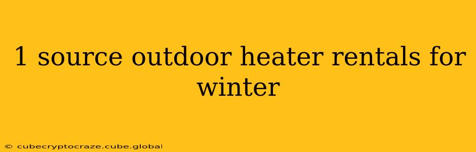 1 source outdoor heater rentals for winter