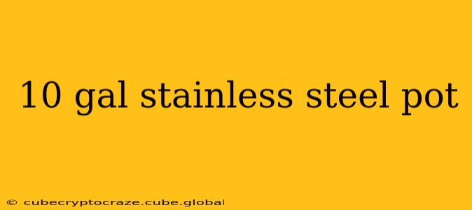 10 gal stainless steel pot