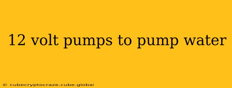 12 volt pumps to pump water