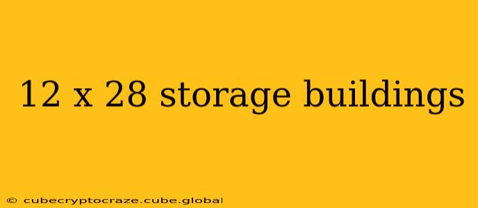 12 x 28 storage buildings