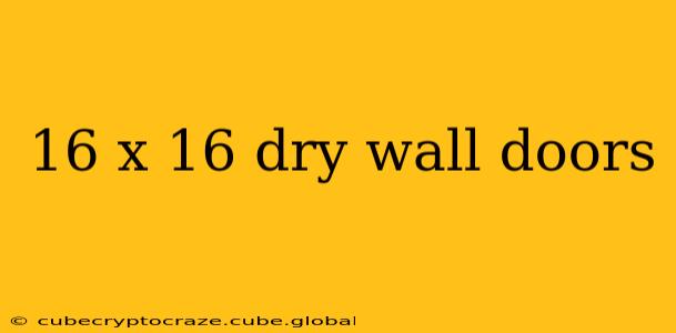 16 x 16 dry wall doors