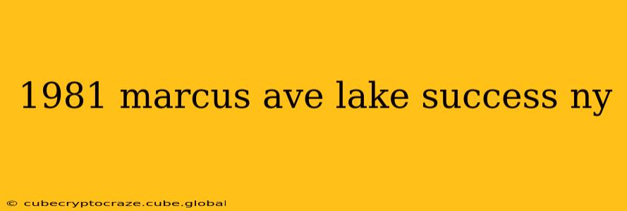 1981 marcus ave lake success ny