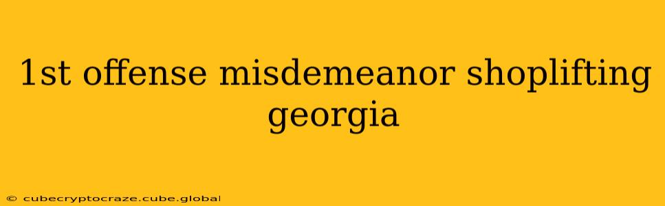 1st offense misdemeanor shoplifting georgia