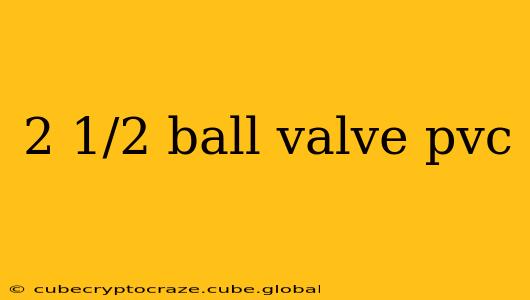 2 1/2 ball valve pvc