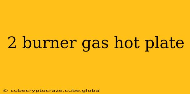 2 burner gas hot plate
