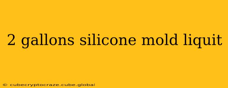 2 gallons silicone mold liquit