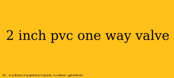 2 inch pvc one way valve