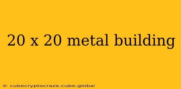 20 x 20 metal building