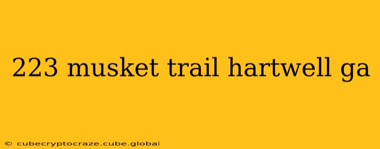 223 musket trail hartwell ga