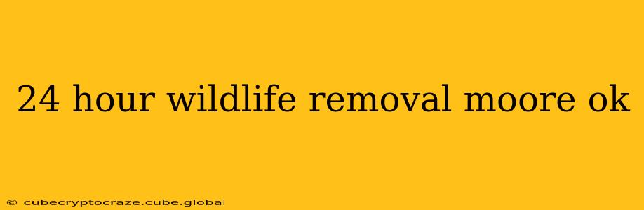 24 hour wildlife removal moore ok