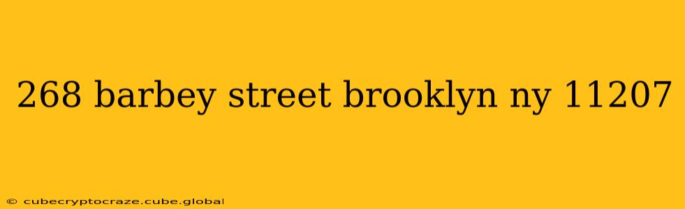 268 barbey street brooklyn ny 11207