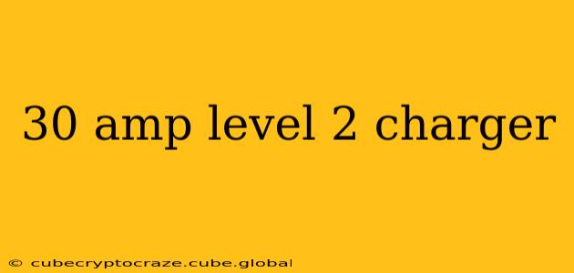 30 amp level 2 charger