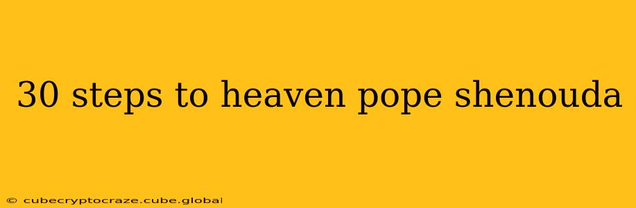 30 steps to heaven pope shenouda