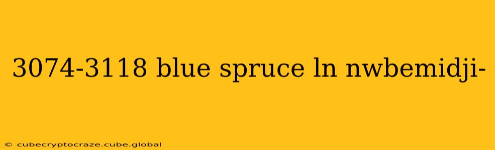 3074-3118 blue spruce ln nwbemidji-