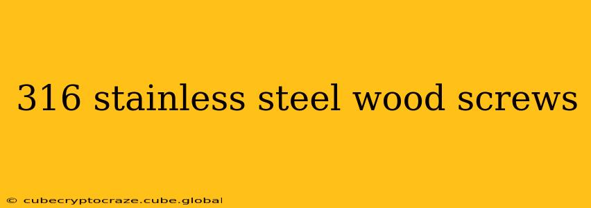 316 stainless steel wood screws