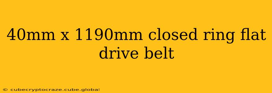 40mm x 1190mm closed ring flat drive belt