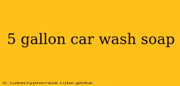 5 gallon car wash soap