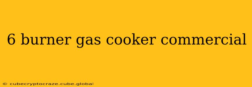 6 burner gas cooker commercial