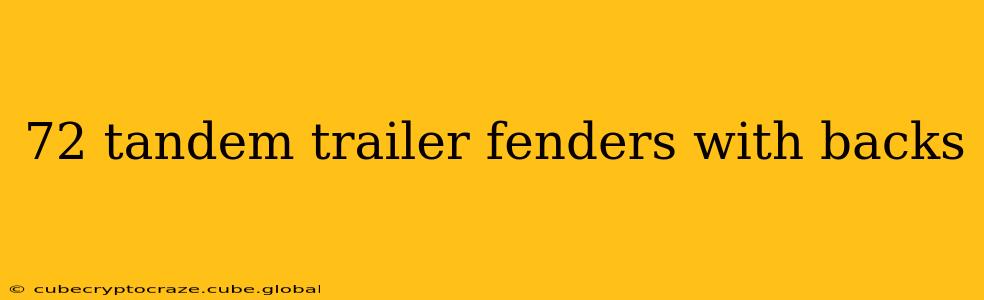 72 tandem trailer fenders with backs