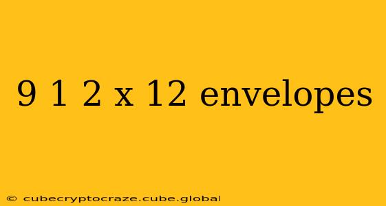 9 1 2 x 12 envelopes