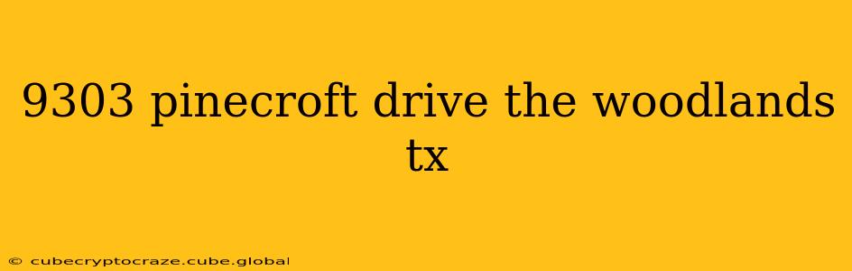 9303 pinecroft drive the woodlands tx