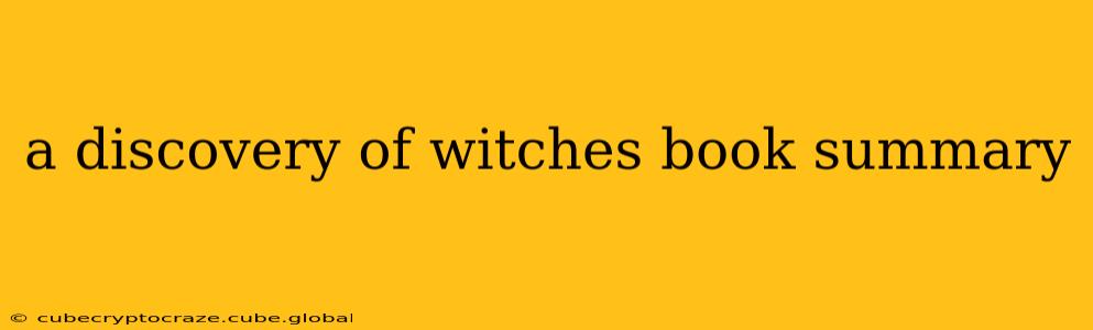 a discovery of witches book summary
