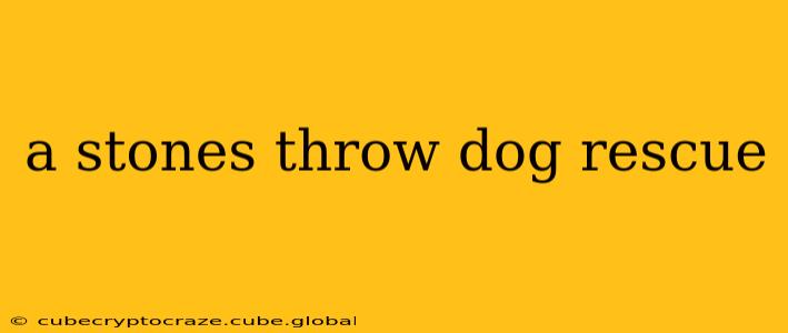 a stones throw dog rescue