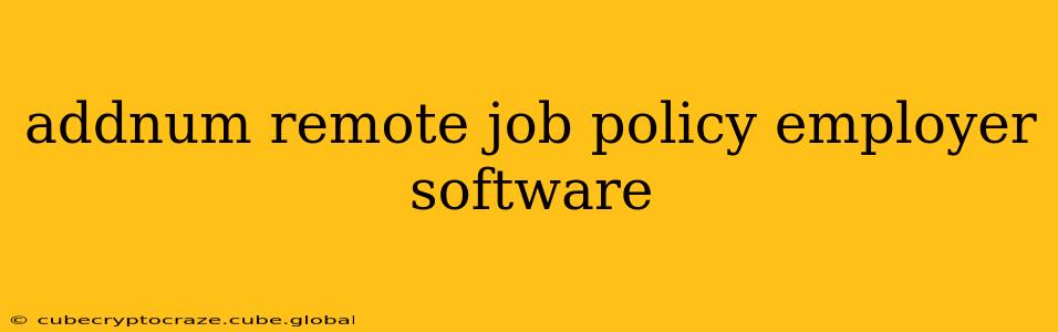addnum remote job policy employer software