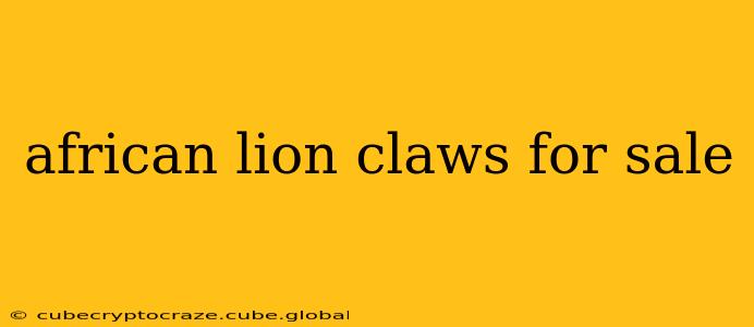 african lion claws for sale