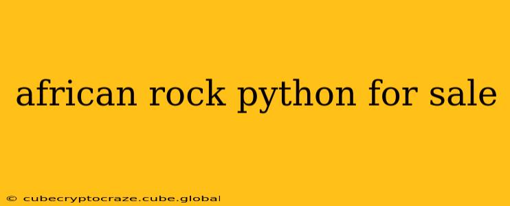 african rock python for sale