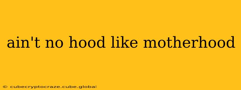 ain't no hood like motherhood
