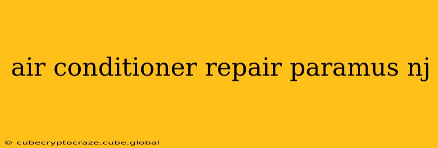 air conditioner repair paramus nj