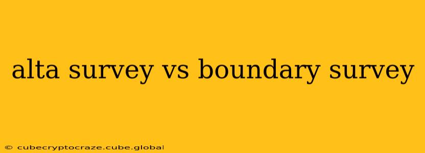 alta survey vs boundary survey