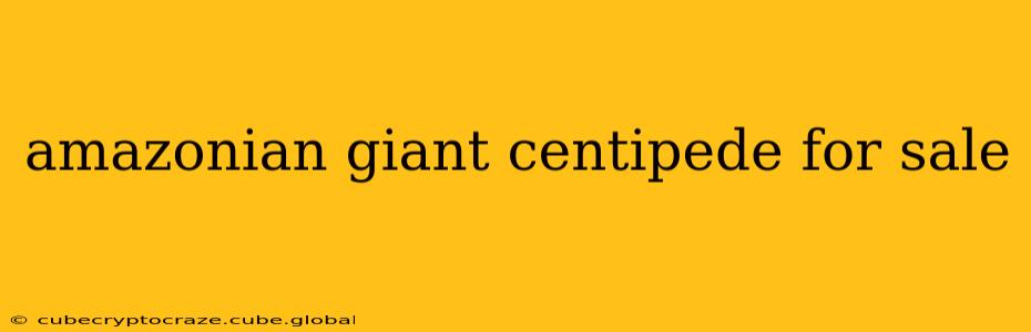 amazonian giant centipede for sale