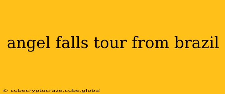 angel falls tour from brazil