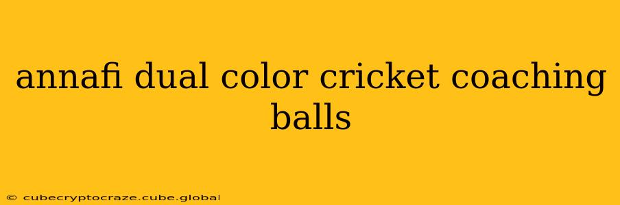 annafi dual color cricket coaching balls