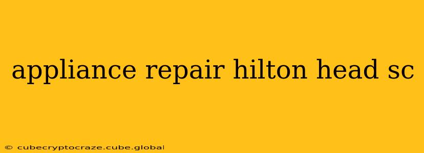 appliance repair hilton head sc