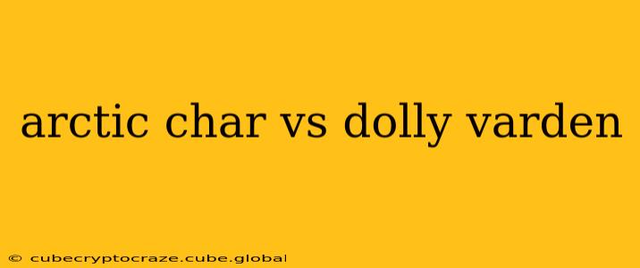 arctic char vs dolly varden