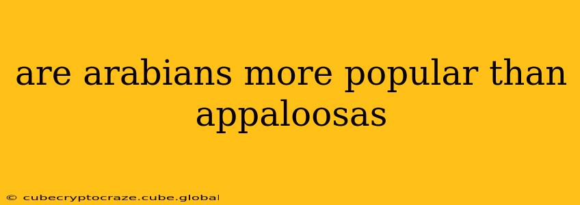 are arabians more popular than appaloosas