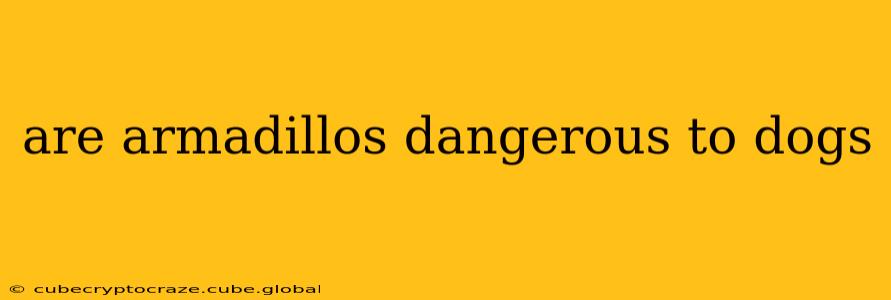 are armadillos dangerous to dogs