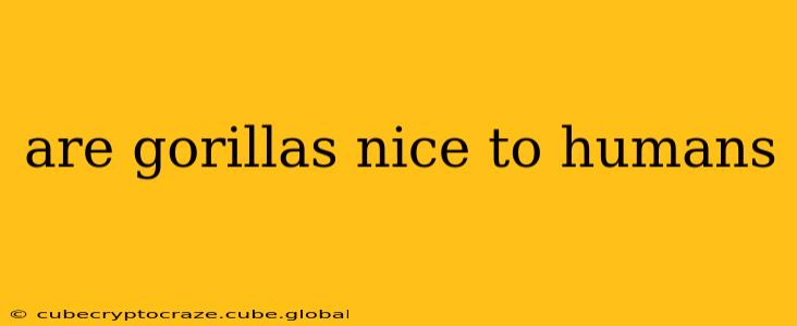 are gorillas nice to humans