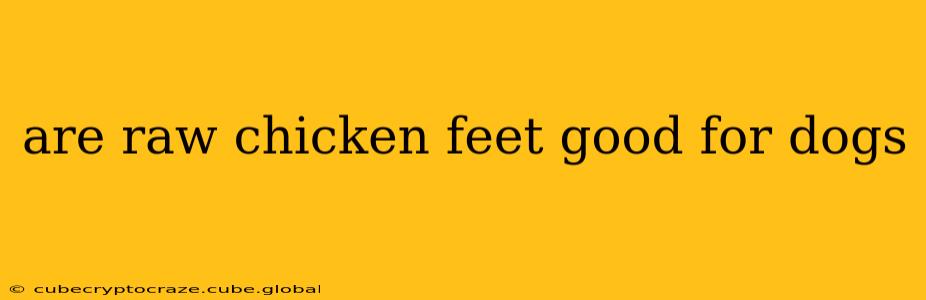 are raw chicken feet good for dogs