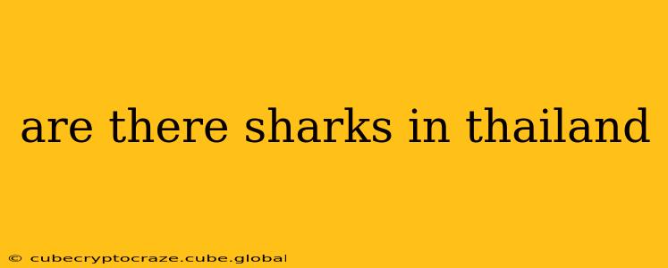 are there sharks in thailand