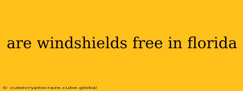 are windshields free in florida