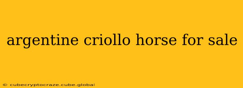 argentine criollo horse for sale