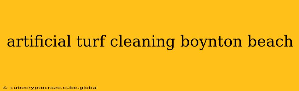 artificial turf cleaning boynton beach