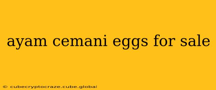 ayam cemani eggs for sale