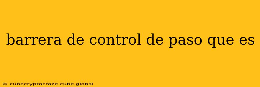 barrera de control de paso que es