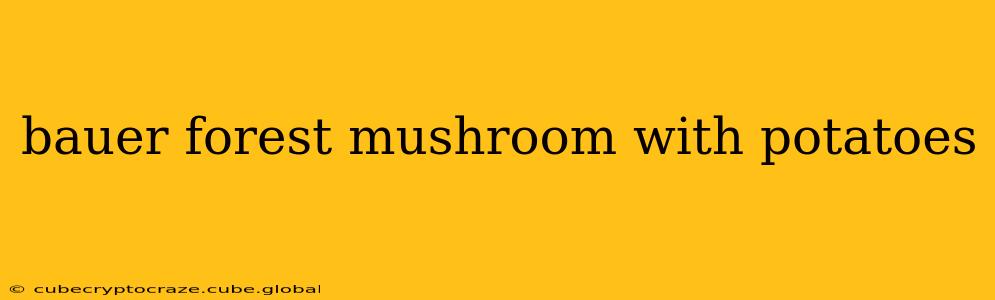 bauer forest mushroom with potatoes